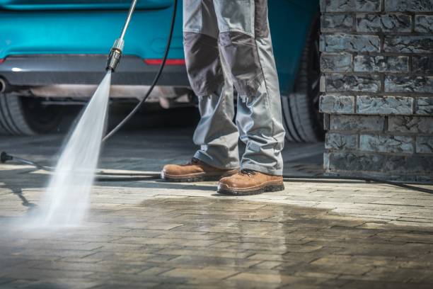 Best Animal Enclosure Cleaning  in Mishicot, WI