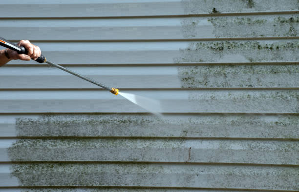 Best Patio and Deck Pressure Washing  in Mishicot, WI